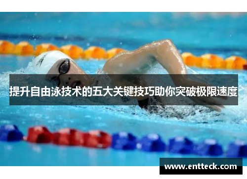 提升自由泳技术的五大关键技巧助你突破极限速度
